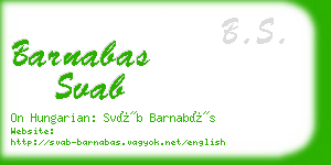 barnabas svab business card